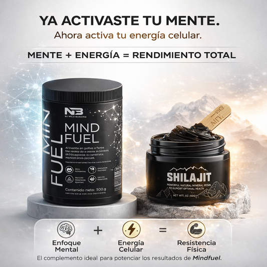 Shilajit